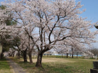 Yukyuzan Travel Forum Reviews
