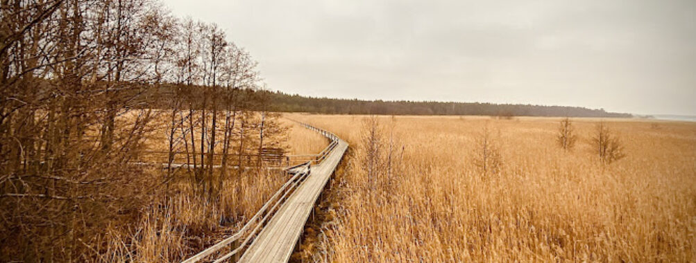 Yyteri Nature Trail (Lietteiden Reitti) Travel Forum Reviews