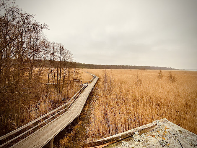 Yyteri Nature Trail (Lietteiden Reitti)