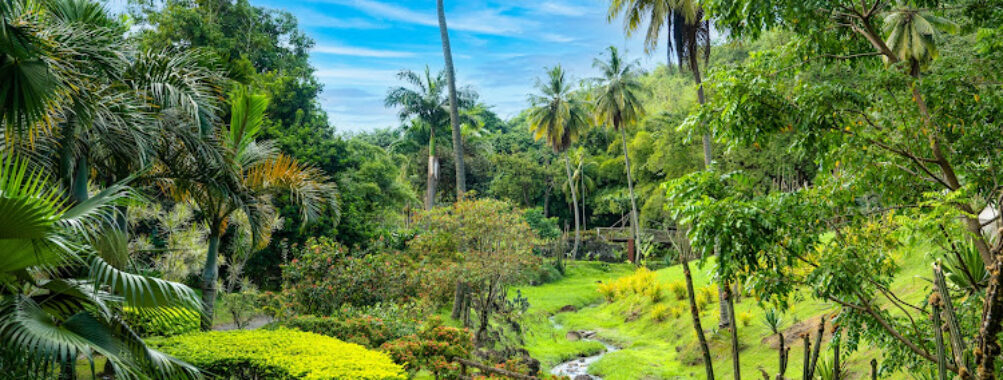 ZOO Martinique HOUSING LATOUCHE Travel Forum Reviews