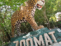 ZOOMAT Travel Forum Reviews