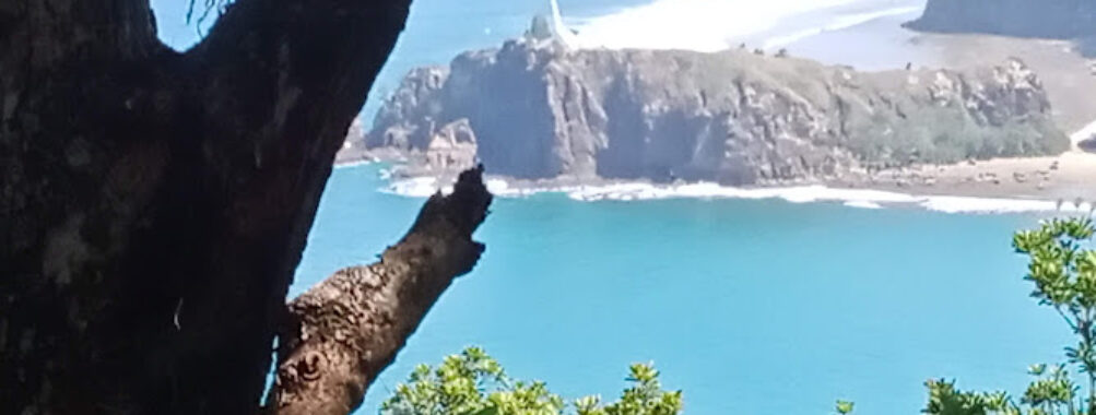 Zabali Travel Forum Reviews