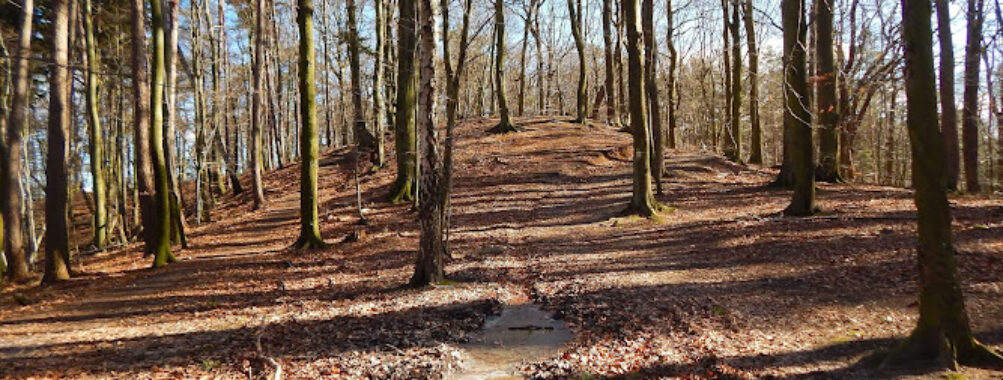 Zajęcze Hill Nature Reserve Travel Forum Reviews