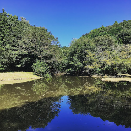 Zama Yatoyama Park