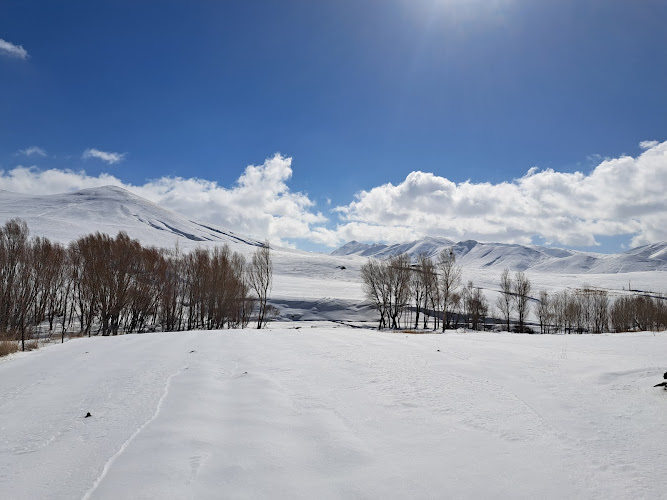 Zanjan