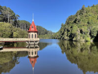 Zealandia Te Māra a Tāne Travel Forum Reviews