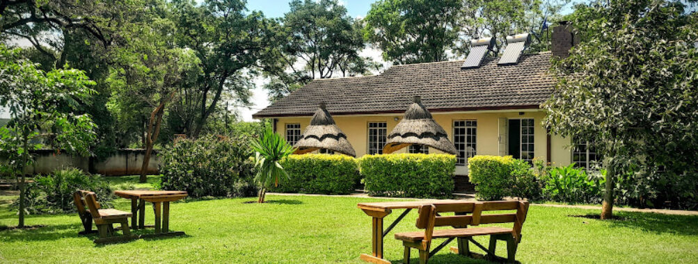 Zebras Dazzle Bed & Breakfast | Restaurant Travel Forum Reviews