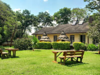 Zebras Dazzle Bed & Breakfast | Restaurant Travel Forum Reviews
