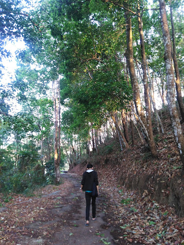 Zemabawk Park