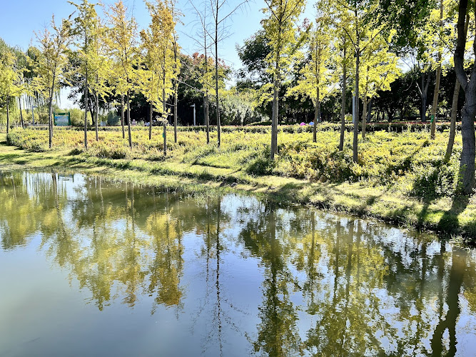 Zhengzhou Forest Park