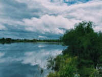 Zhivopisnyy Lug Na Beregu Travel Forum Reviews