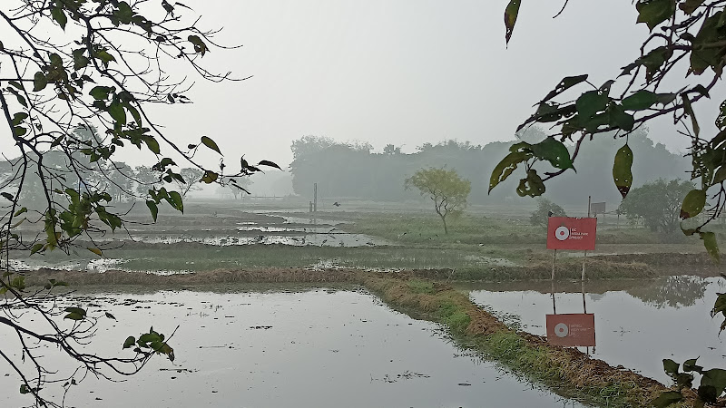 Zinda Park Rd