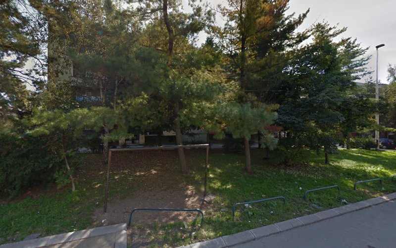 Zmaj Jovin Park