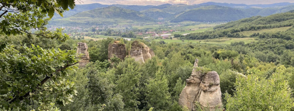 Zmeilor Garden Travel Forum Reviews