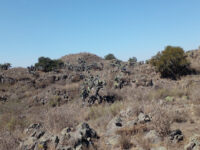 Zona Arqueológica Cuauhyehualolco Travel Forum Reviews