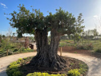 Zona de jocs bosc urbà Travel Forum Reviews