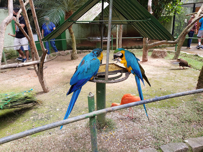Zoo Park Mountain