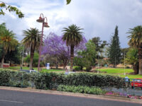 Zoo Park Travel Forum Reviews