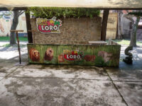 Zoo Parque Loro Puebla Travel Forum Reviews