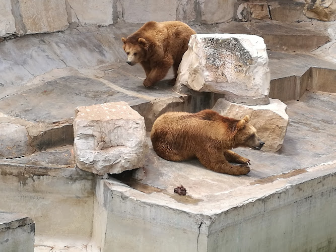 Zoo Tunis