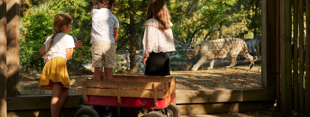 Zoo de Bordeaux-Pessac Travel Forum Reviews