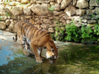 Zoo de Castellar Travel Forum Reviews