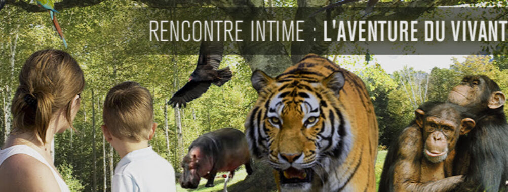 Zoo du Bois d'Attilly Travel Forum Reviews