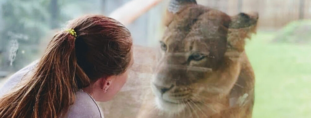ZooWorld Zoological Park Travel Forum Reviews