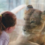 ZooWorld Zoological Park