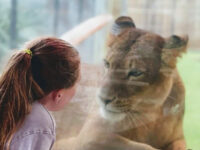 ZooWorld Zoological Park Travel Forum Reviews