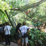 Zoobotanical Park – Emílio Goeldi Museum