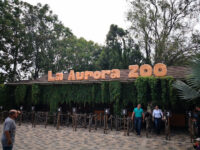 Zoológico La Aurora Travel Forum Reviews