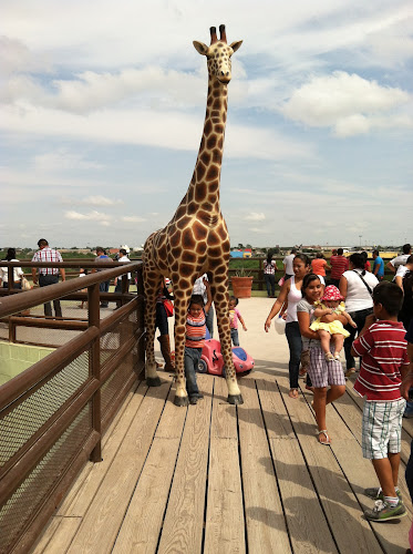 Zoológico Regional de Nuevo Laredo