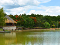 Zoologico Valladolid Travel Forum Reviews