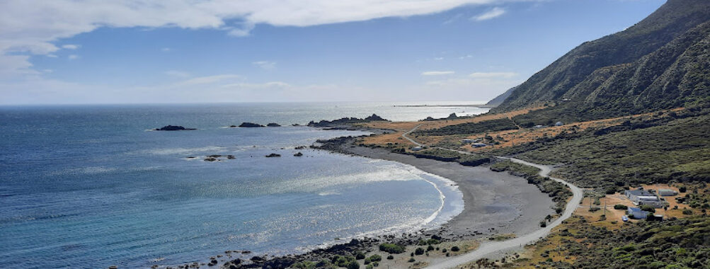 Zozo Travel - Tours of Wellington. Scenic, Winery, Brewery and Foodie Tours Travel Forum Reviews