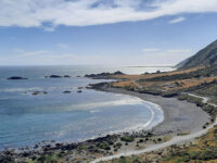 Zozo Travel - Tours of Wellington. Scenic, Winery, Brewery and Foodie Tours Travel Forum Reviews