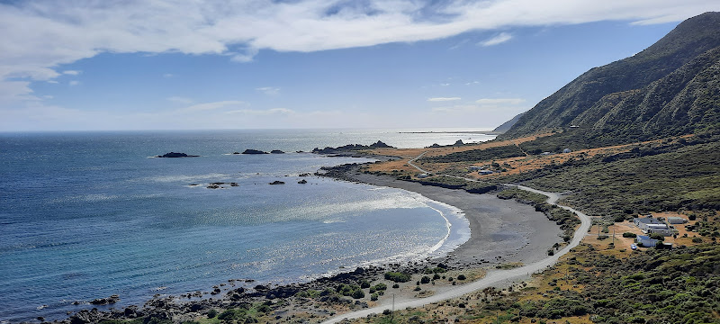 Zozo Travel - Tours of Wellington. Scenic, Winery, Brewery and Foodie Tours