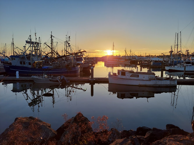 Zuanich Point Park