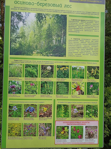 Zvozdnyy Klyuch