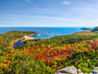 Expansive scene of colorful autumn leaves contrasting with the blue waters of the bay in Acadia National Park.