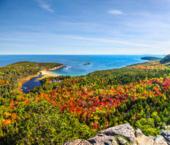 Expansive scene of colorful autumn leaves contrasting with the blue waters of the bay in Acadia National Park.