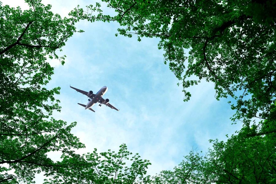 Top Airline Carbon Offset Programs Compared
