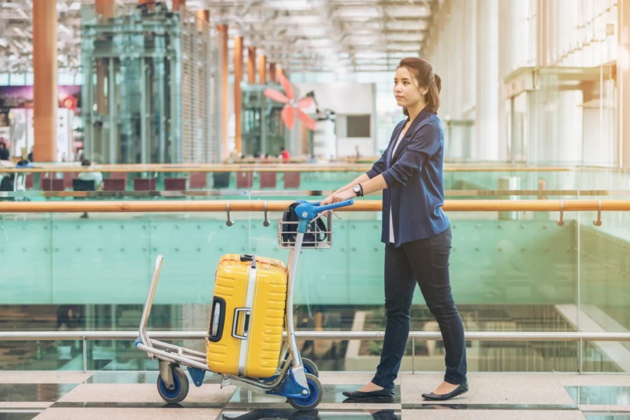 AirHelp Lost Luggage Support