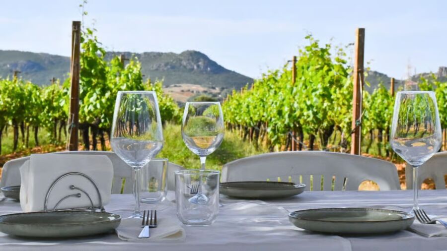 Outdoor dining setup with empty wine glasses and plates on a white tablecloth in front of vibrant vineyard rows. Mountains in the background under a clear sky convey a serene, inviting atmosphere.