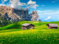 Scenic view of Alpe di Siusi resort with vibrant yellow dandelions in spring, set against the Dolomites, Italy.