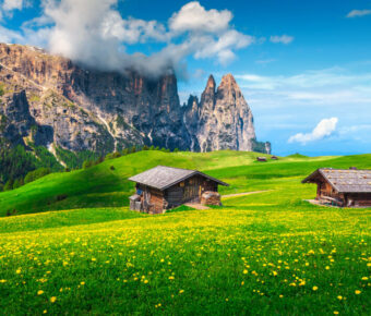 Scenic view of Alpe di Siusi resort with vibrant yellow dandelions in spring, set against the Dolomites, Italy.