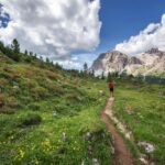 Hiking trail with wildflowers and mountains under a bright blue sky.