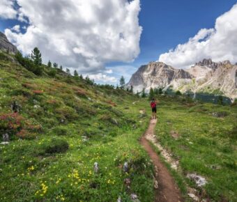 Hiking trail with wildflowers and mountains under a bright blue sky.