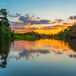 Reflection of a sunset by a lagoon inside the Amazon Rainforest
