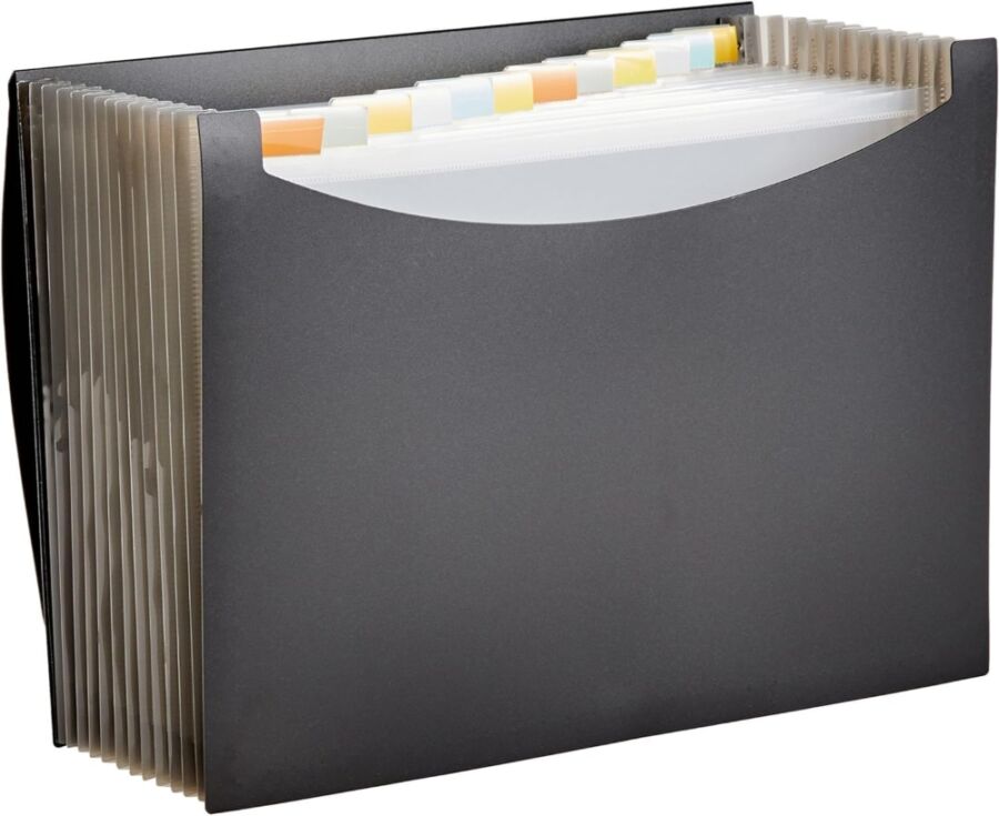 Black file organizer by AmazonBasics with multiple folders neatly arranged within.